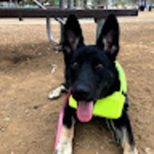 Meet your Posher, Jackie